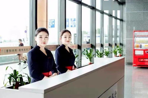 自助值機營銷員 駐點營銷經理崗位等你來 真檸